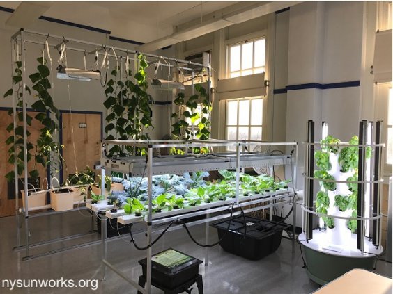 hydroponic farming lab