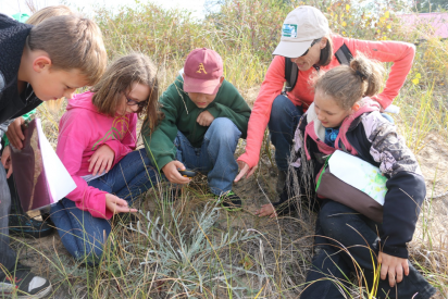 Northeast Michigan Great Lakes Stewardship Initiative (NEMIGLSI) students and instructors in a field.