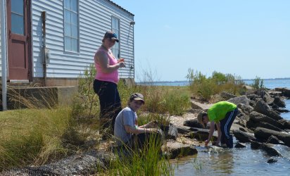 Three students on a shoreline. Wetlands grassses in the foreground, the shore stretches at an angle from the lower left of the photo to the mid-right. Large rocks jut up at sharp angles along the shore, and various grasses and shrubs grow alongside them. One student is wading in the water, collecting a sample. A second student sits on the bank, while a third stands above him smiling at the camera.