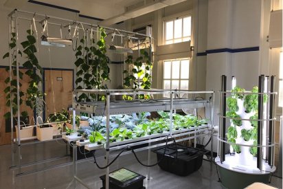 hydroponic farming lab